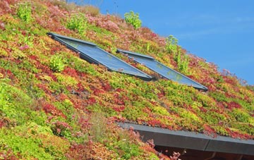 Byerhope living roof systems