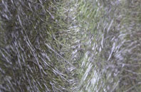 Byerhope fibreglass roof work